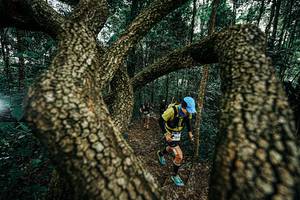 BIB: 
                            <button type="button" onclick="openModal(25394002)" class="btn btn-primary btn-sm float-right btn-popup" data-toggle="modal" data-target=".modal-high-quality">
                        <i class="fas fa-shopping-cart"></i> Add to Cart
                    </button>
                                            <button type="button" onclick="isThisMe(25394002, true)" class="btn btn-success btn-sm float-right btn-popup btn-isme hidden" data-toggle="tooltip" data-placement="bottom" title="นี่คือรูปของคุณใช่ไหม คลิกที่นี่เพื่อเอาเข้าอัลบั้ม">
                        <i class="fas fa-plus"></i> Add to album
                    </button>
                    <button type="button" onclick="isThisMe(25394002, false)" class="btn btn-warning btn-sm float-right btn-popup btn-isnotme hidden">
                        <i class="fas fa-ban"></i> Remove from album
                    </button>